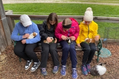 6c8d21c7-effc-4f82-b500-5604974417aa-1