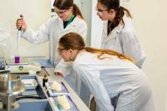 702731d1-ef56-4da6-b7f2-362642aac7fb