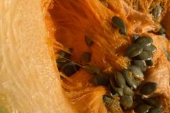 IMG-20251111-WA0015